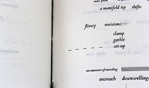 Susan Johanknecth - Gefn Press